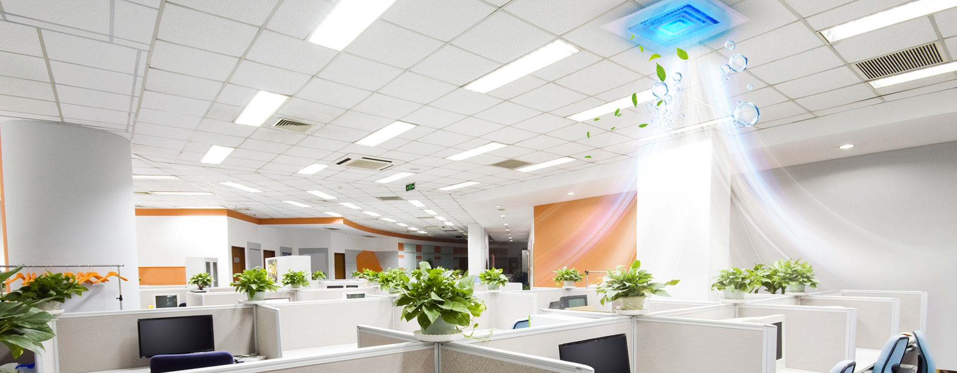 辦公室防疫措施怎麼做?3個建議守護員工健康 辦公室防疫措施怎麼做?3個建議守護員工健康