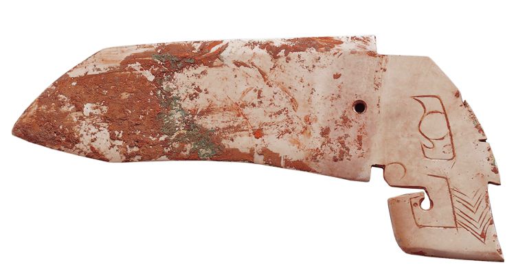 商代晚期 鳥首玉戈 玉戈把手設計為鳥頭形制， 較為少見。眼睛為俗稱的臣字眼，其工序是先製作封閉的眼眶， 再勾勒眼珠，是典型商代晚期的製作手法。