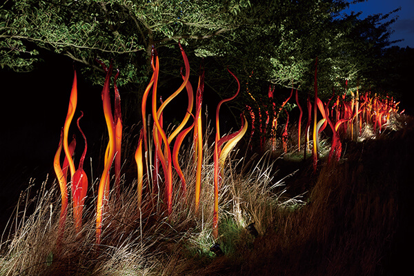 奇胡利結合植物園環境，模擬自然生態，創作出令人驚豔的玻璃地景藝術。