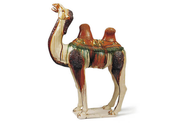 唐代．三彩駱駝 駱駝施以褐、綠、白等釉料，突顯五官和肢體之特徵，局部可見釉料垂流的現象。（圖四）