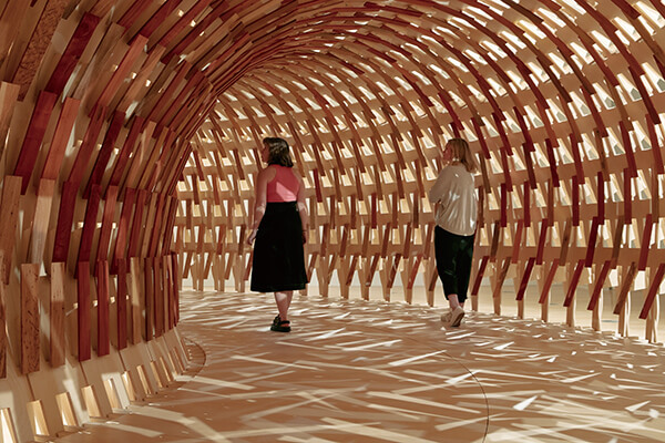 日本建築家隈研吾與墨爾本當地藝術家Geoffrey Nees合作推出的「植物廊」，構築帶有強大張力的木結構。 