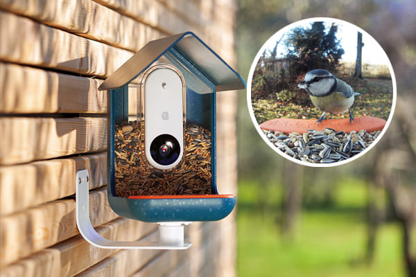 「智能餵鳥器」能透過感應監測，拍下各式鳥兒「大頭貼」。利用AI科技，人們也能在不破壞自然生態的前提下「科技賞鳥」。