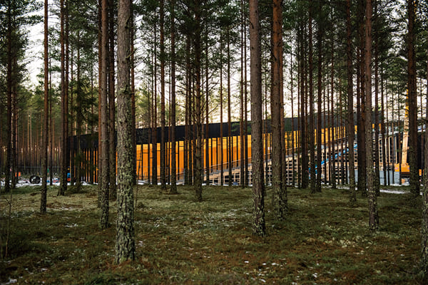 園區名符其實被「挪威的森林」環繞，建築也致力於融入自然環境當中。  