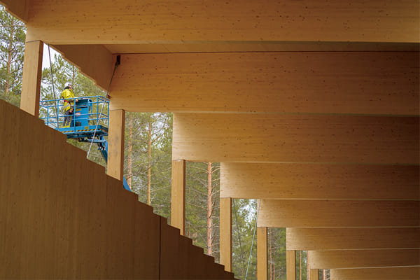 膠合木材料，成為園區建築結構的主要材質。