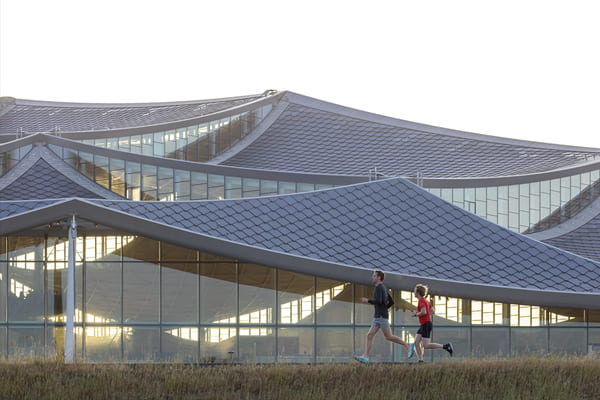 傘式屋頂是園區建築最顯著的設計特色，具綠能發電與降低熱負載的功能性。