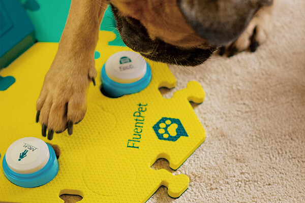 「流利寵物語言」以可錄下單字語音的按鈕，加上六角止滑板，訓練狗兒表達自己的需求。