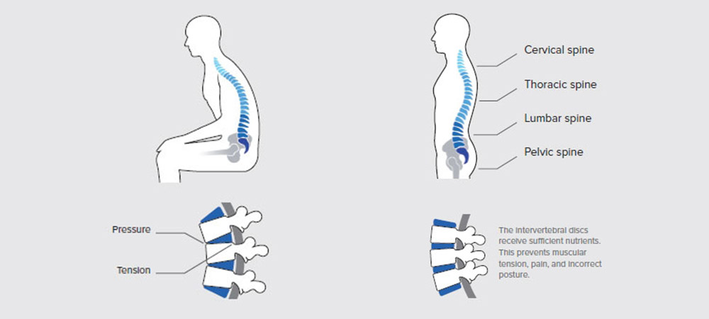 當骨盆以直立的姿勢主動牽引身體肌肉（如右圖），能減輕人體壓力 │ 圖片來源：Dauphin Human Design® Group