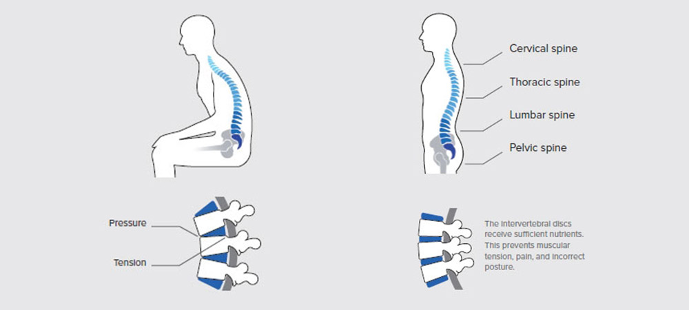 辦公椅x人體工學|想創造高效率辦公?推薦人體工學椅 辦公椅x人體工學|想創造高效率辦公?推薦人體工學椅