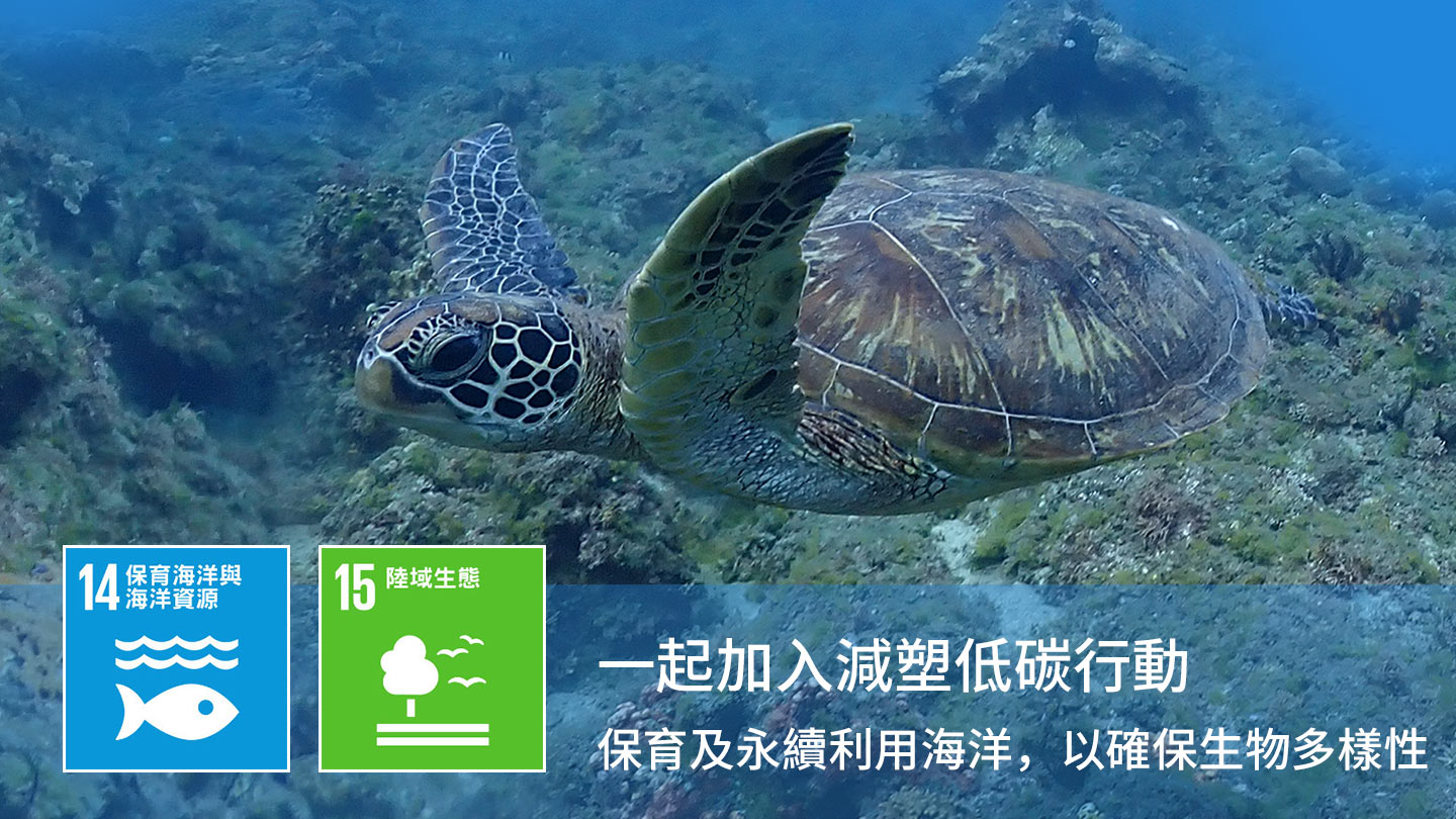 震旦集團響應SDGs 14 保育海洋生態