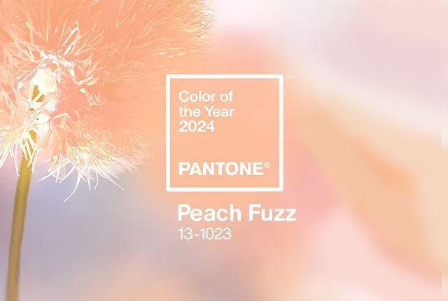 PANTONE 2024年度代表色「柔和桃」｜震旦友善行動踐行ESG