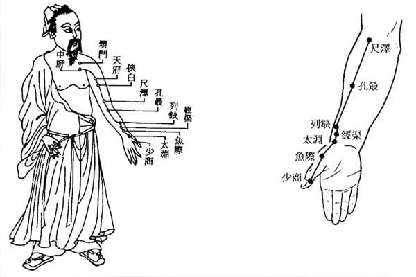 切脈練習—從脈搏感受自己的心身習慣 切脈練習—從脈搏感受自己的心身習慣