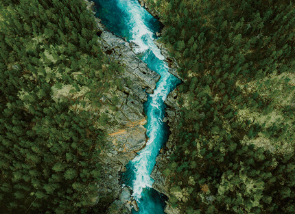 ESG數位轉型案例— 從「除弊」邁向「興利」的永續轉型之路