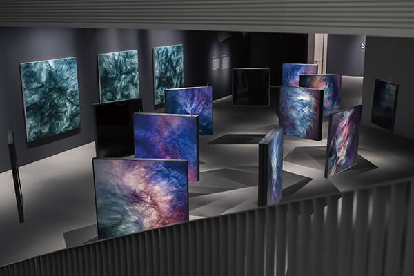 2024年震旦博物館週年回顧—帶領觀眾走進博物館 2024年震旦博物館週年回顧—帶領觀眾走進博物館