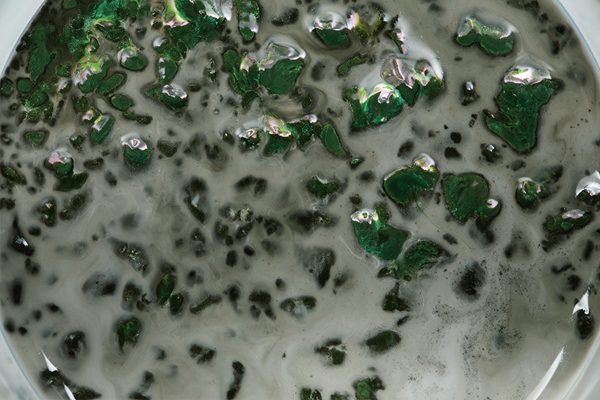 擁抱ESG的環保創意——另闢蹊徑篇 自然生物材質 「藻」出設計新創意 擁抱ESG的環保創意——另闢蹊徑篇 自然生物材質 「藻」出設計新創意