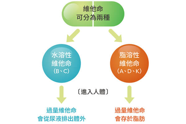 醫生教您強化骨質 日日補D,找回身體不足的維他命D 醫生教您強化骨質 日日補D,找回身體不足的維他命D