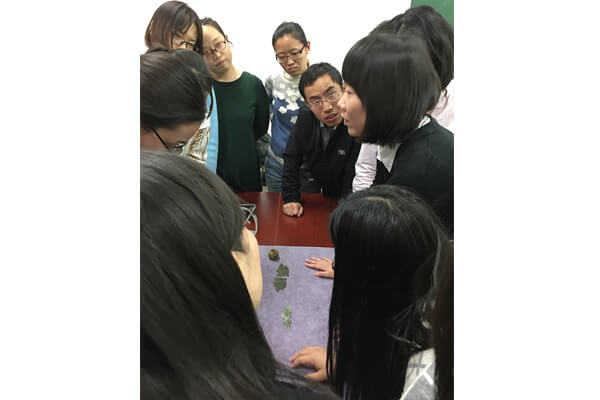 活動回顧 震旦博物館與高校教學系列活動 活動回顧 震旦博物館與高校教學系列活動